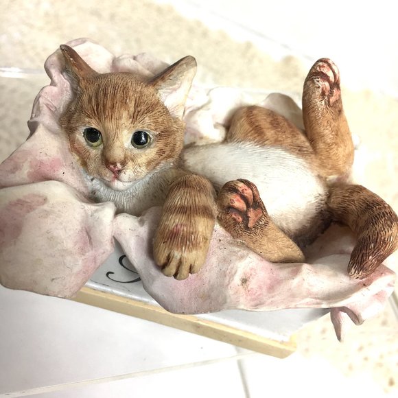 Cat Playfully Laying in A Scarpe Roma Shoe Box Figurine - Picture 2 of 9